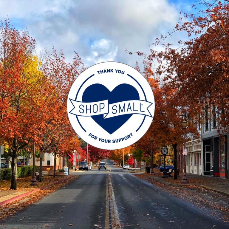 Small Business Saturday 2 46666533 2064945040195724 839372657022468096 n 768x768
