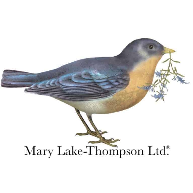 61546659 2808491832501017 8282469097438969856 o 768x768