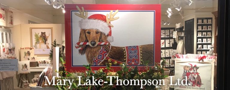 64277968 2841140709236129 4742954534119145472 n 768x301