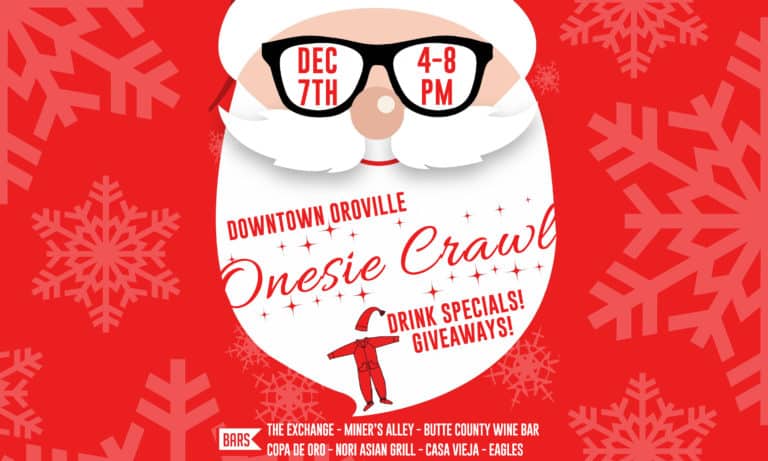 Onesie Bar Crawl 1 ONESIESITE 768x461