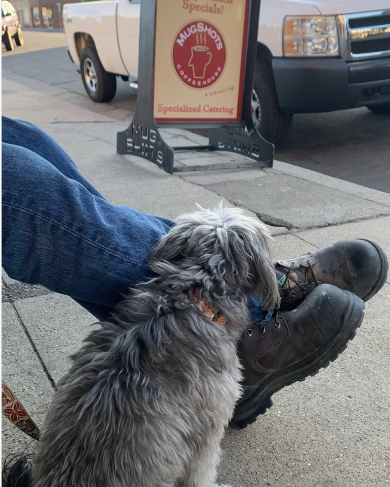 Mug Shots Coffee house 9 Screen Shot 2019 11 10 at 8.46.29 AM 768x958