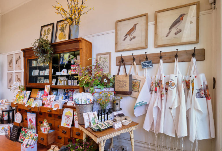 mary lake thompson dsf4040 768x523