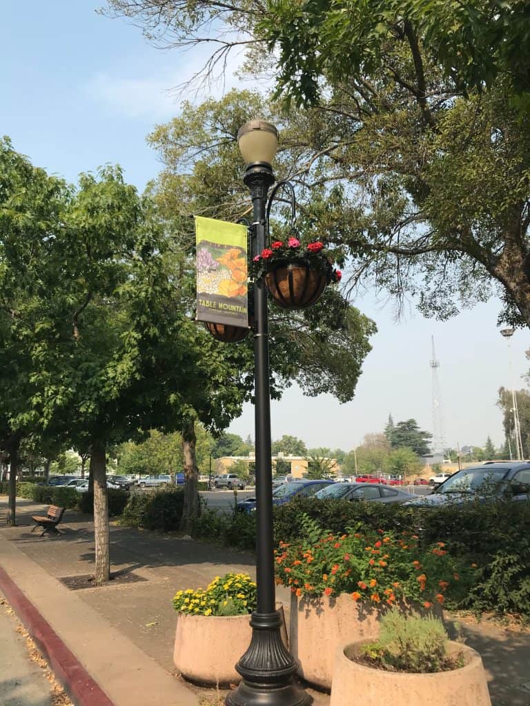 Downtown Oroville Light Pole Project 2 FullLightPole use 1