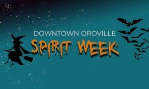 Spirit week SITE 300x180