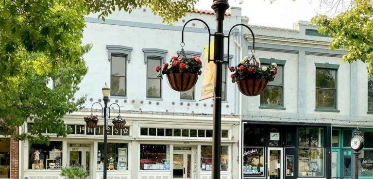 Feather Fiesta Days 2021 1 118317096 1502992896563297 2019784723595619123 o e1598651717727 1024x492 1 768x369