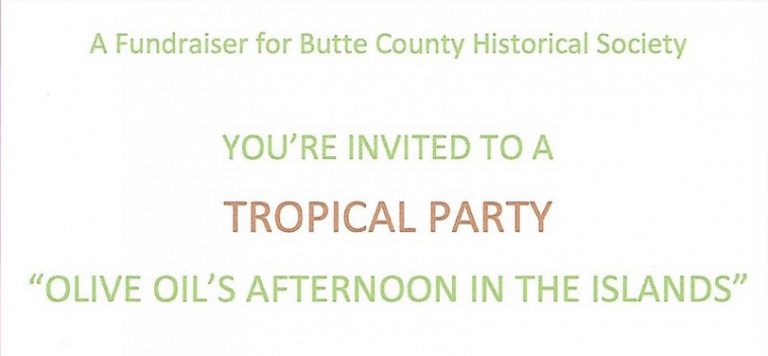 Screen Shot 2021 06 10 at 9.28.56 AM 768x356