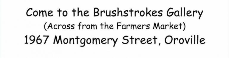 Screen Shot 2021 07 14 at 2.42.23 PM 768x196