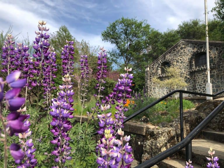 170037983 282607399985610 361491979598594019 n 768x576