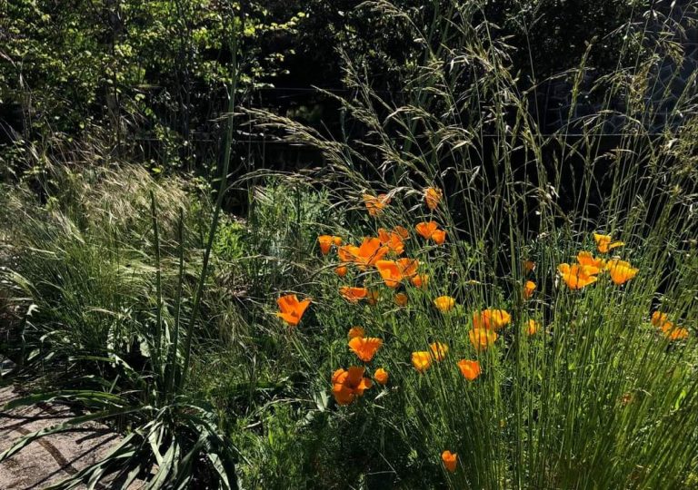 181012000 298322301747453 8798887095275281450 n 1 768x540