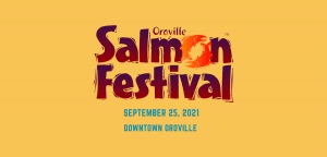 Salmon Festival Websitev1 300x144