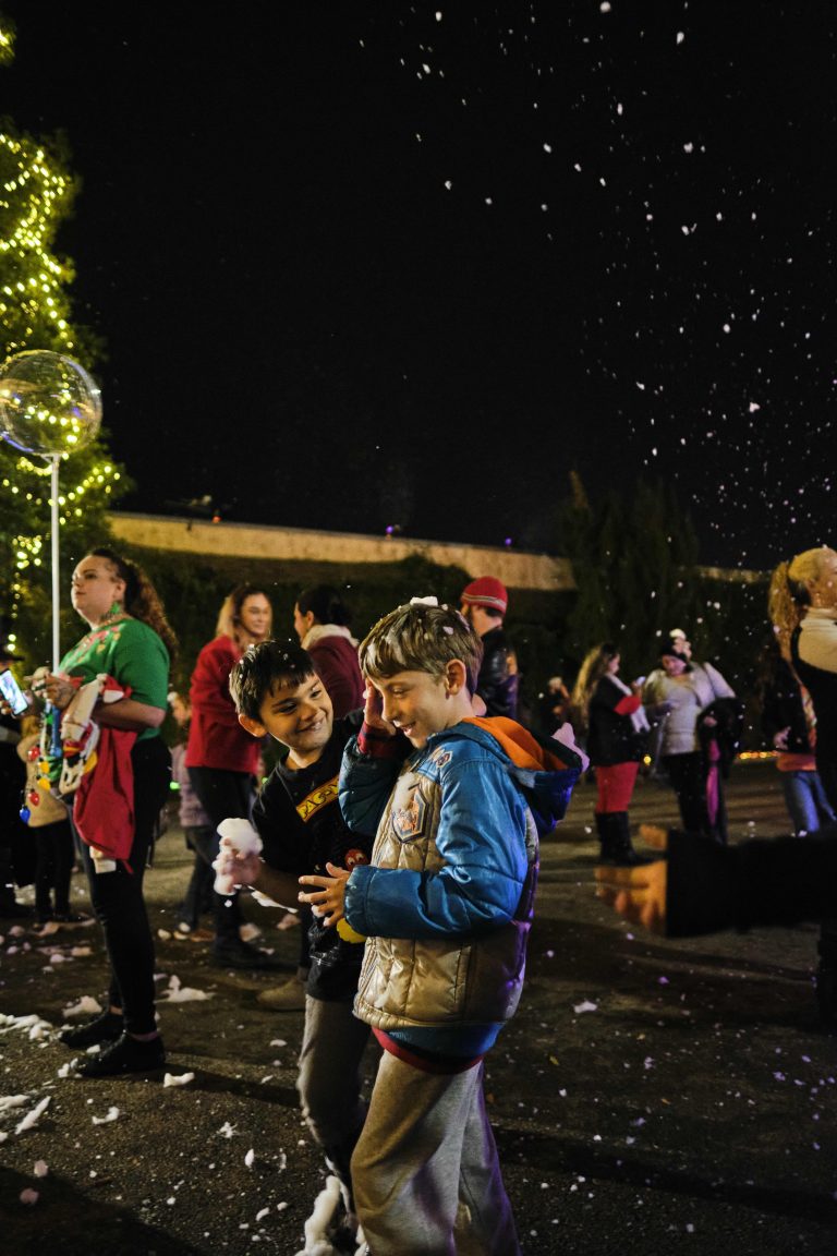 Tree Lighting Ceremony 6 048 768x1152