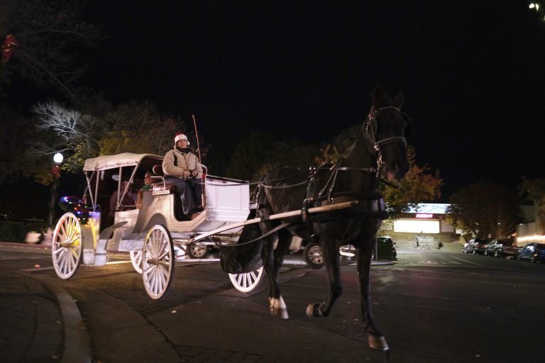 Tree Lighting Ceremony 4 Carrage Rides 768x512