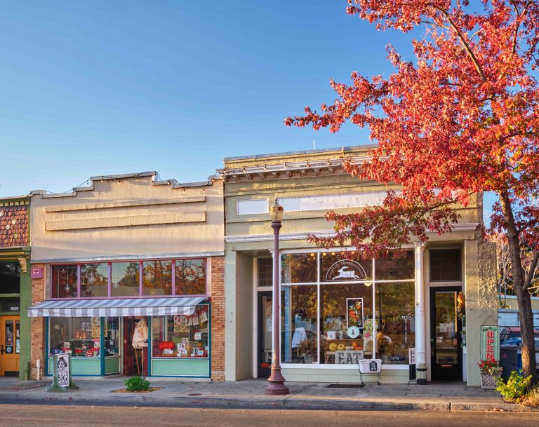 Small Business Saturday 3 Mary Lake DSF0790 768x609