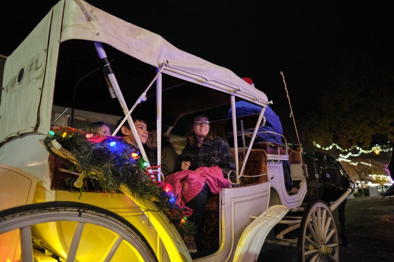 Tree Lighting Ceremony 3 Rides 768x512
