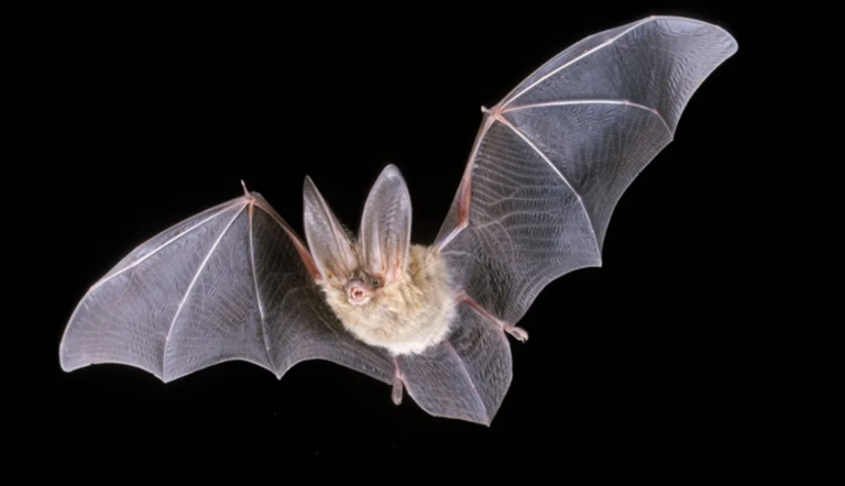 Haunted Bath House 4 Screen Shot 2021 10 26 at 10.42.47 AM 768x442