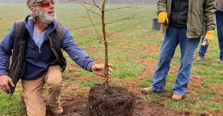 272737982 10158079874077046 1233169047072272811 n 768x401