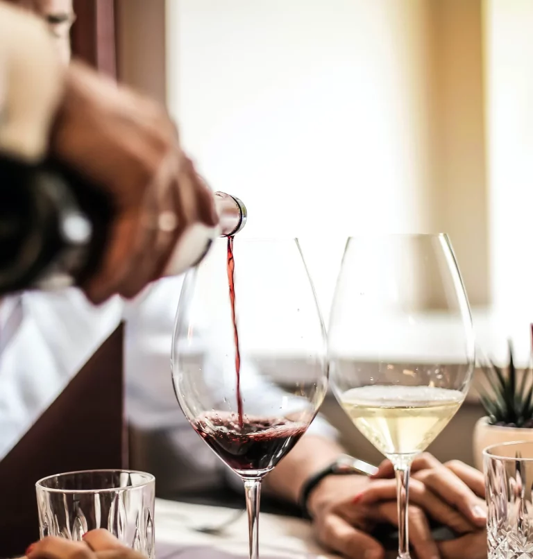 VillaVino 3 1694ae 59e13eab78e1403a9ab2317c3615d4ba mv2 768x806