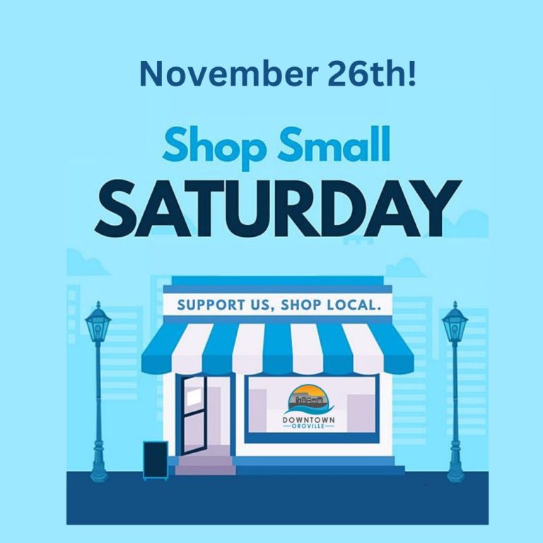 Small Business Saturday 2 Shop SmallInstagram 768x768