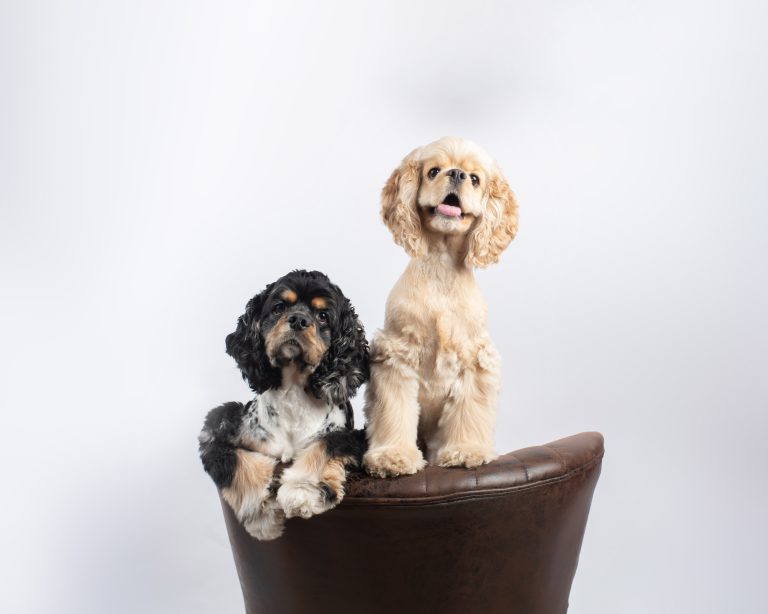 Prince Mona 15 2 768x614