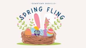 Spring Fling website 300x169