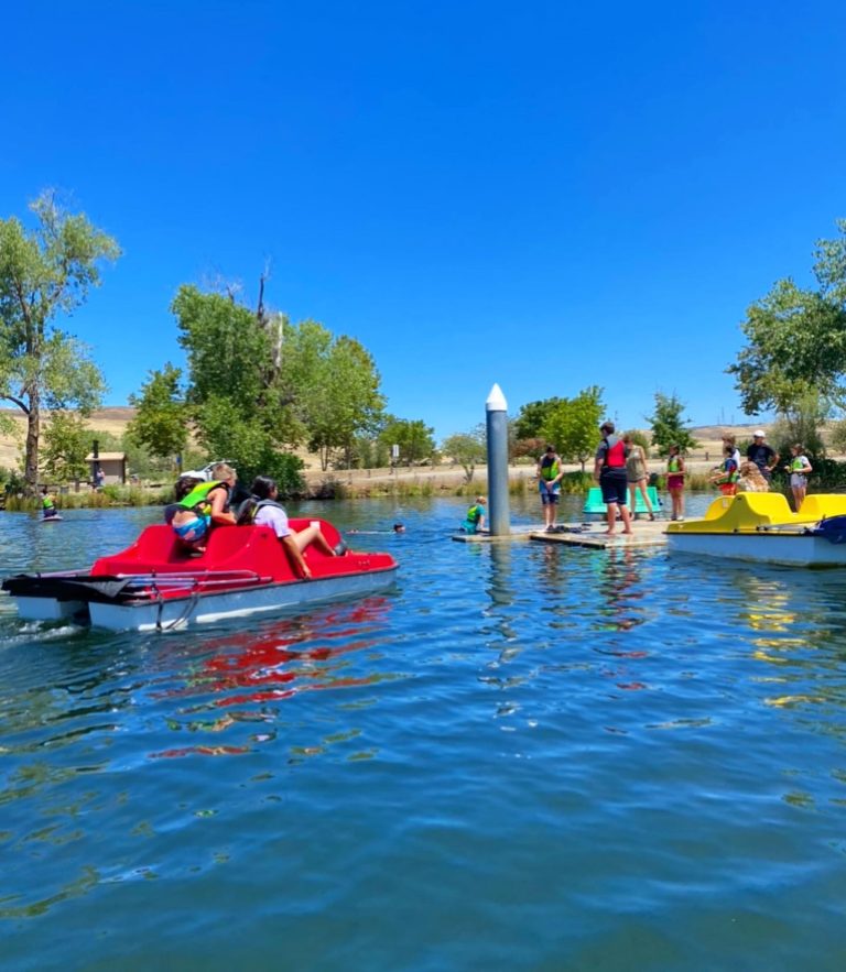 Live Spot 3 296684812 10160181121237354 8789260339054121626 n 768x883