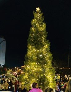 web downtown oroville tree lighting tree 768x1000 1 230x300