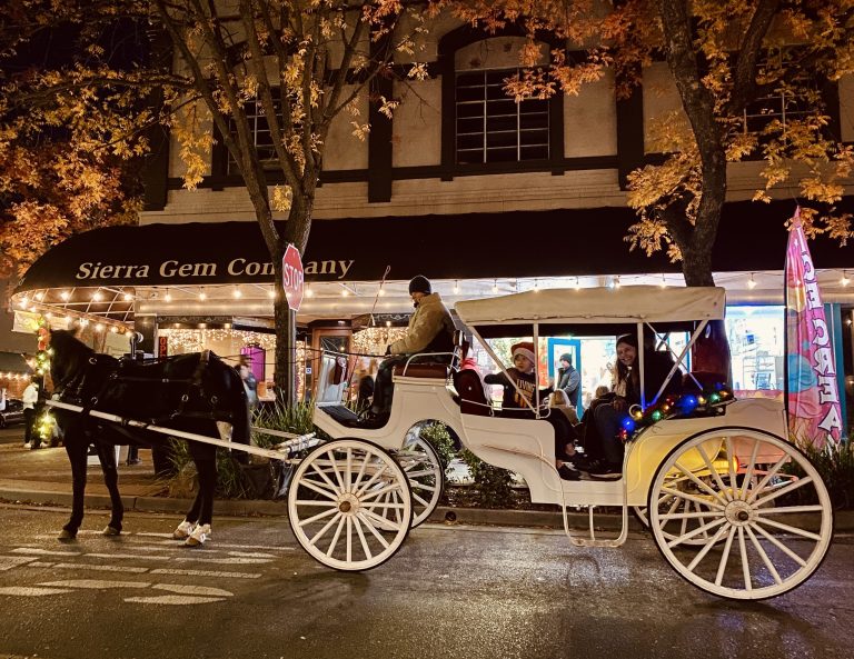 webnew carriage kid 768x593