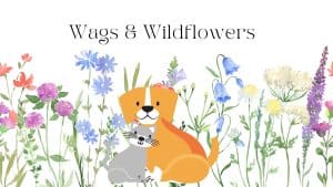 event wags wildflowersdowntown oroville 300x169