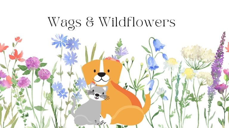 Wags & Wildflowers 1 event wags wildflowersdowntown oroville 768x432