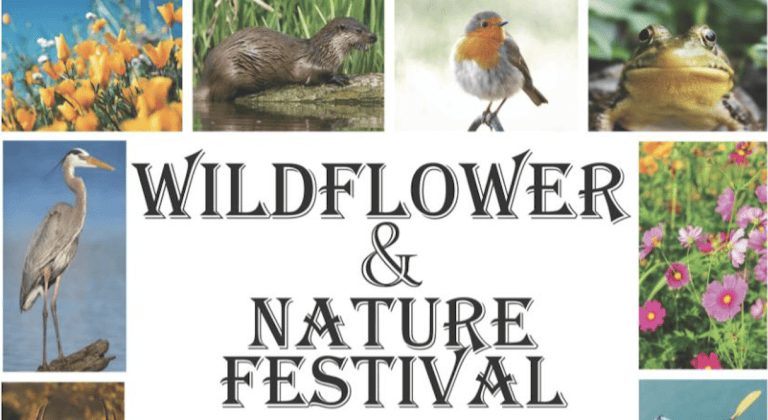 Wildflower and Nature Festival 2 Screen Shot 2024 03 15 at 9.57.24 AM 768x420