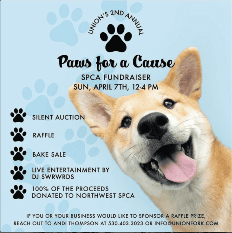 Screen Shot 2024 04 04 at 2.25.39 PM 1 768x772