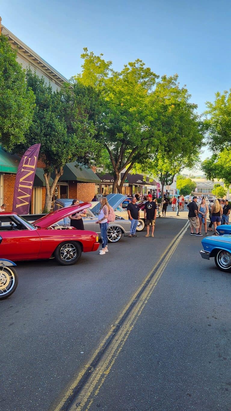 361943800 982521403026722 640728065575789451 n 768x1365