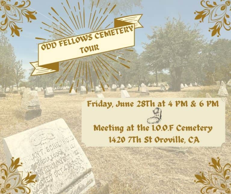 448821950 481382207728828 2837547110930565557 n 1 768x644