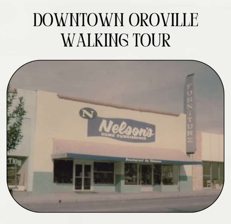 457139996 523829066817475 3411927844168390886 n 768x743