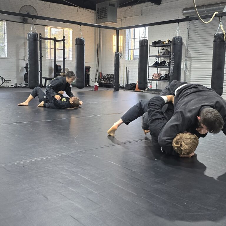 Cultivate Power Fighting Arts 6 cultivate 5 768x768