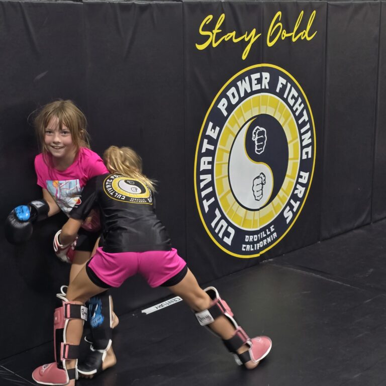 Cultivate Power Fighting Arts 2 cultivate 6 768x768