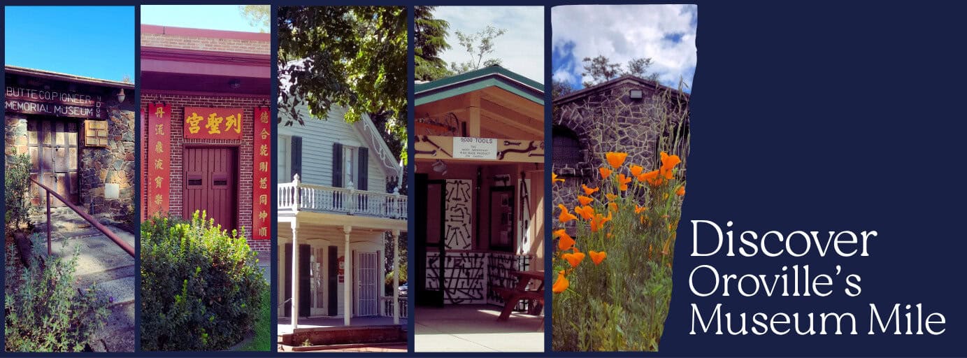 560055892 797427973144199 6788710858169881506 n